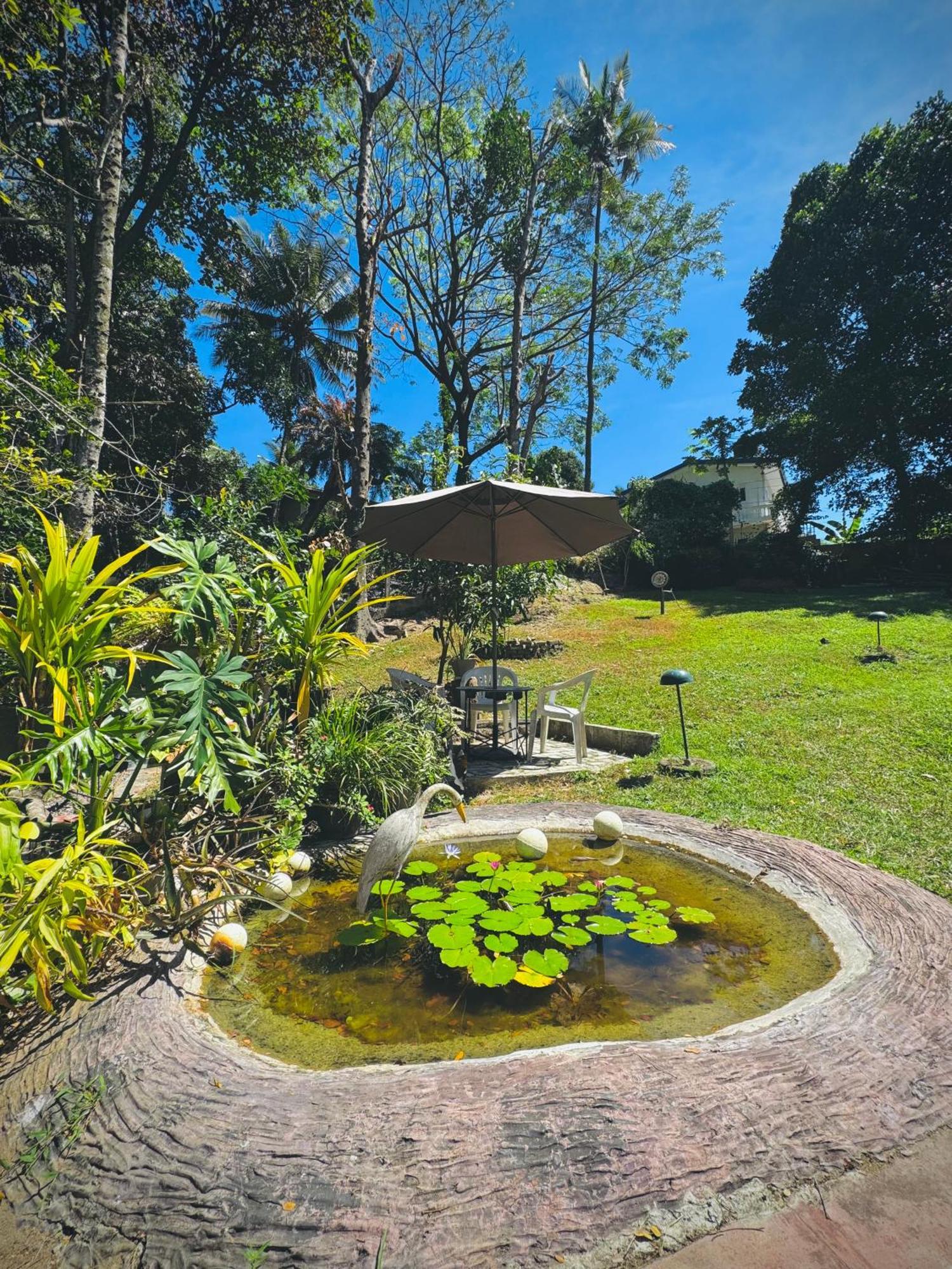 Mahaweli View Bungalow Канди Екстериор снимка